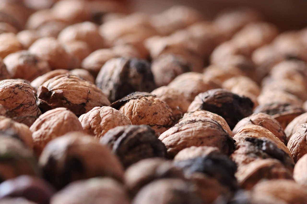 凤凰娱乐，注册|csgo国内代理平台