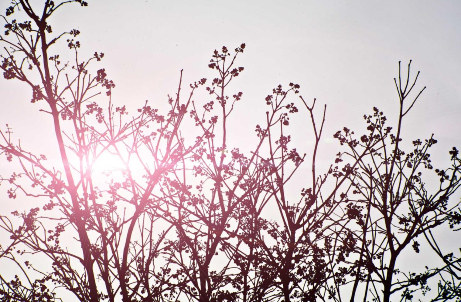 吸烟与家庭财务管理