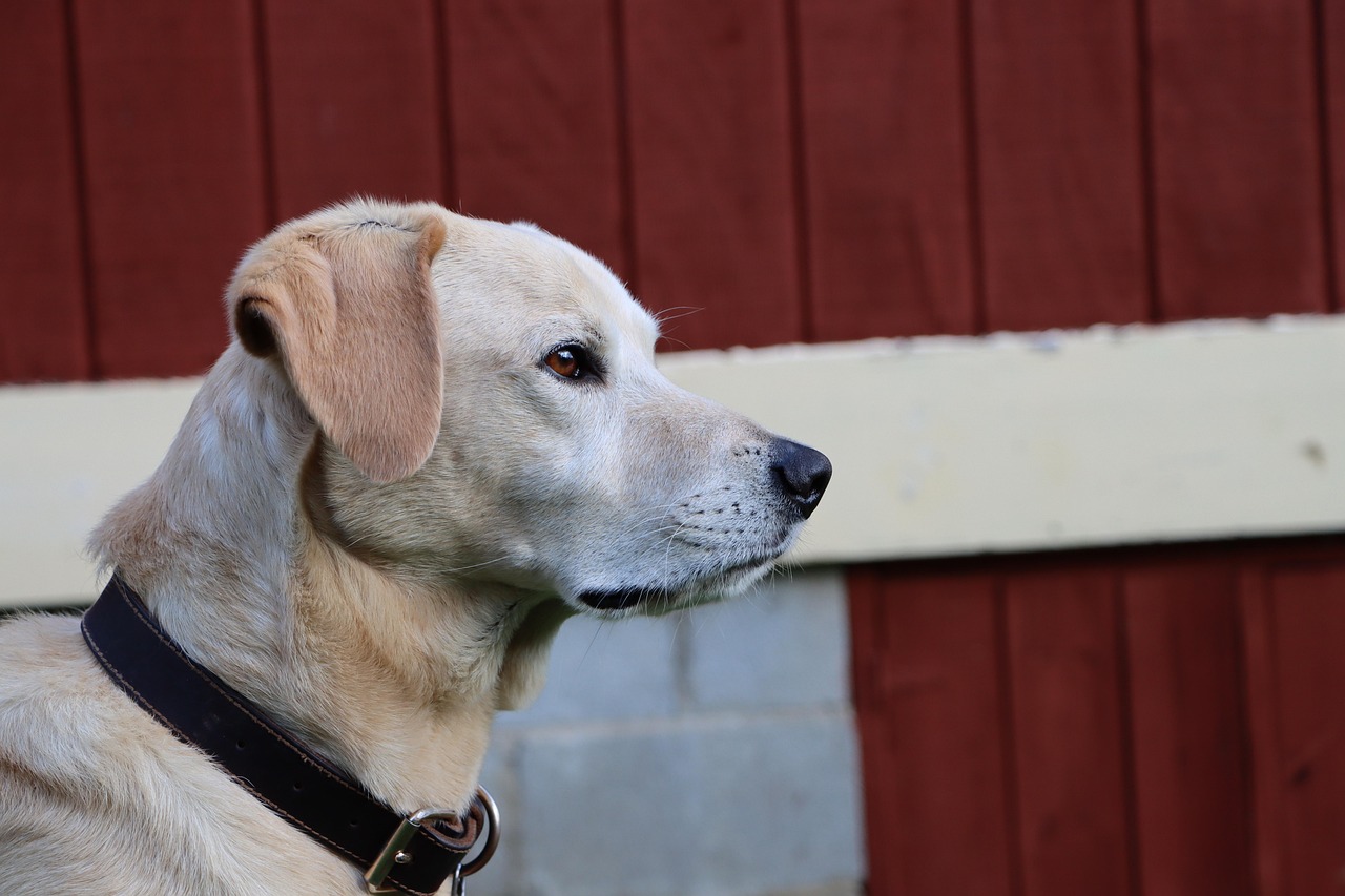 魂器学院：杭州专业的防爆灯购买平台