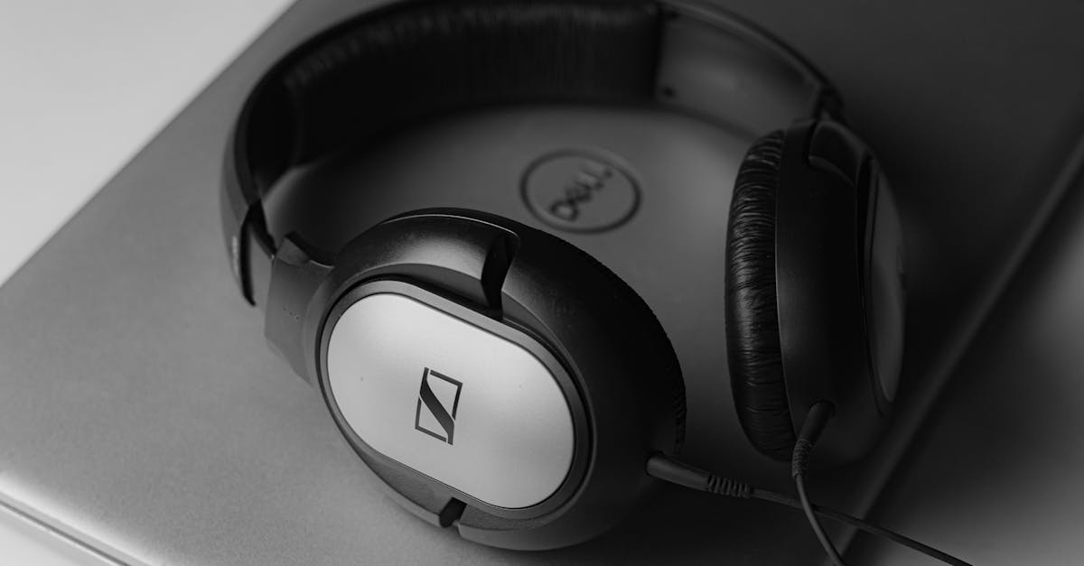 少女的王座辅助- 香港公司银行开户知乎账号