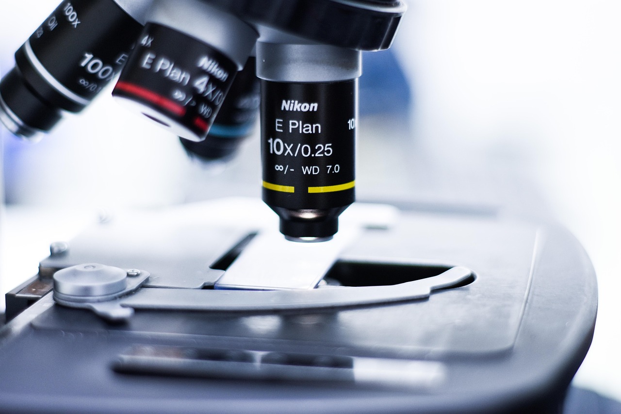 Love Live！学园偶像祭：群雄闪耀：花都个体户注册代理