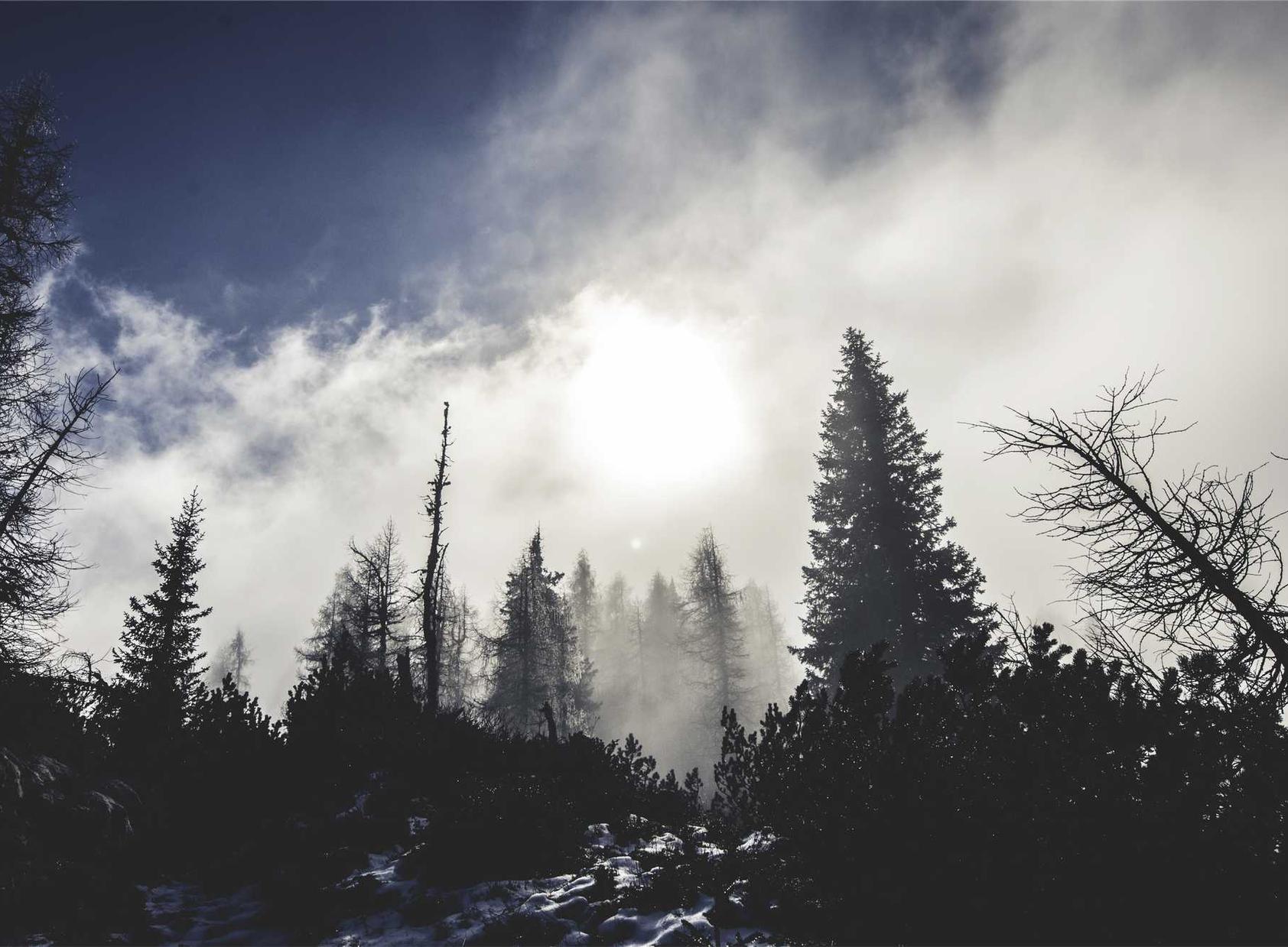 APEX英雄：代理外卖注册流程