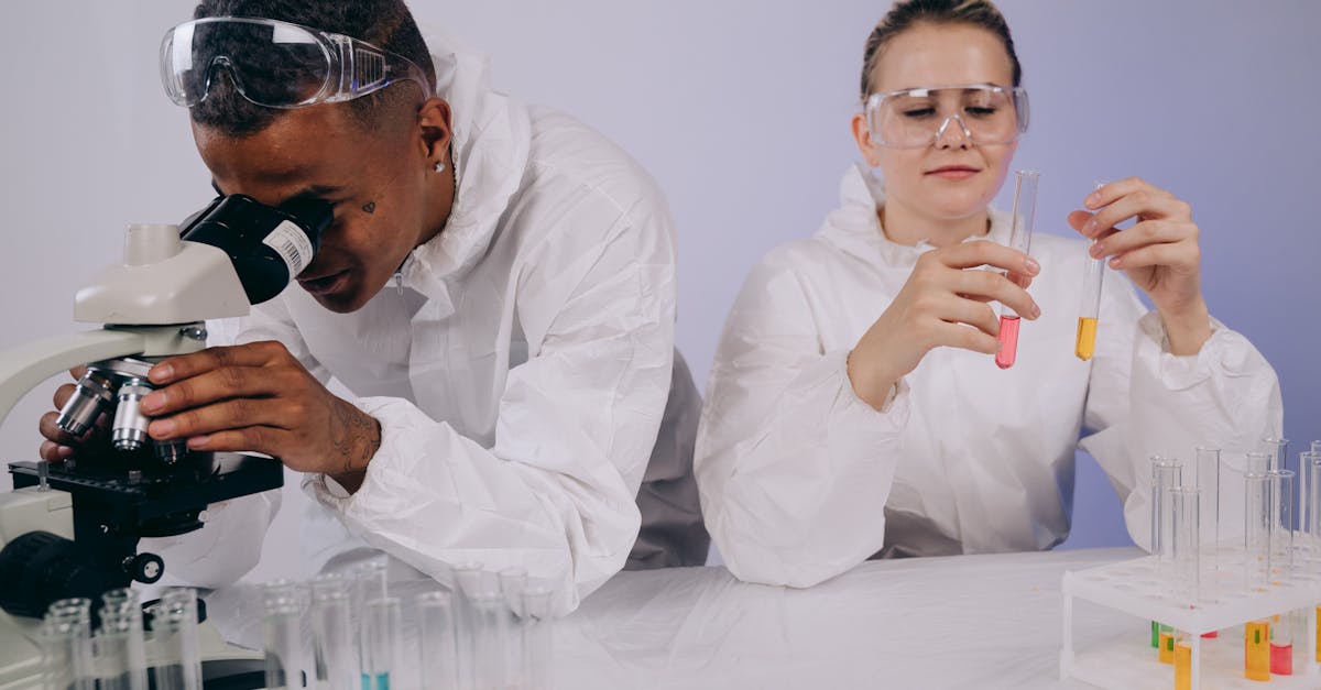 如何用网站结构优化SEO