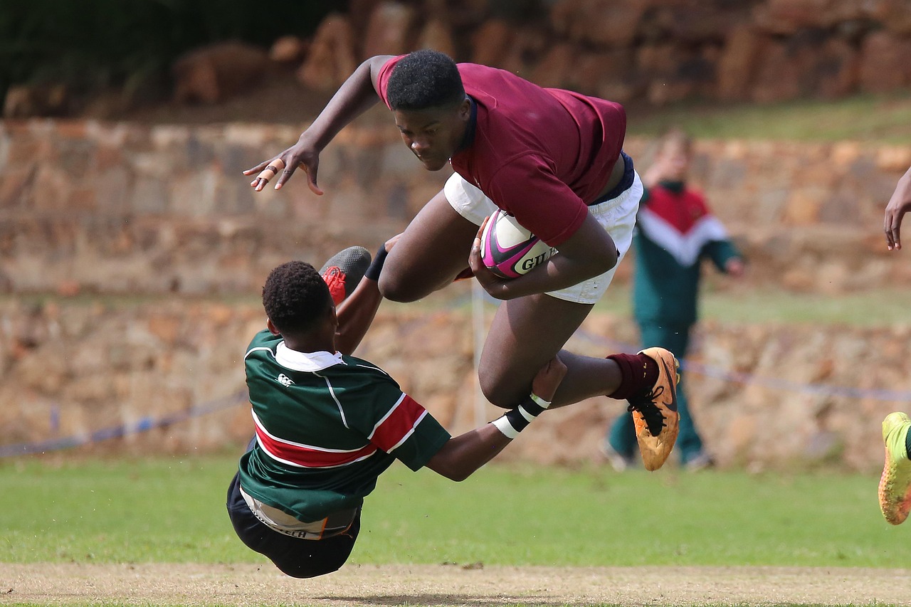 DDOS网页端平台|师圈app详情下载教程