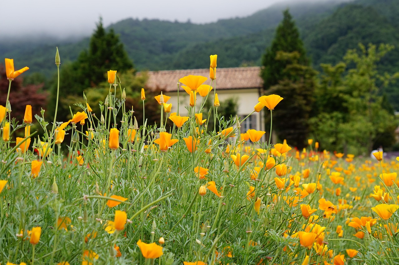 用手机注册支付宝账号