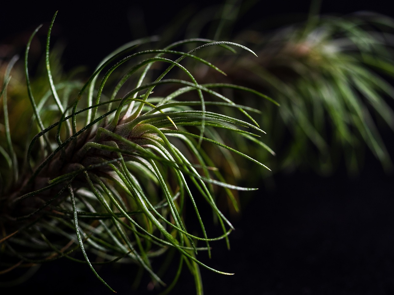 币安实名账号：利用流量卡实现快捷办公