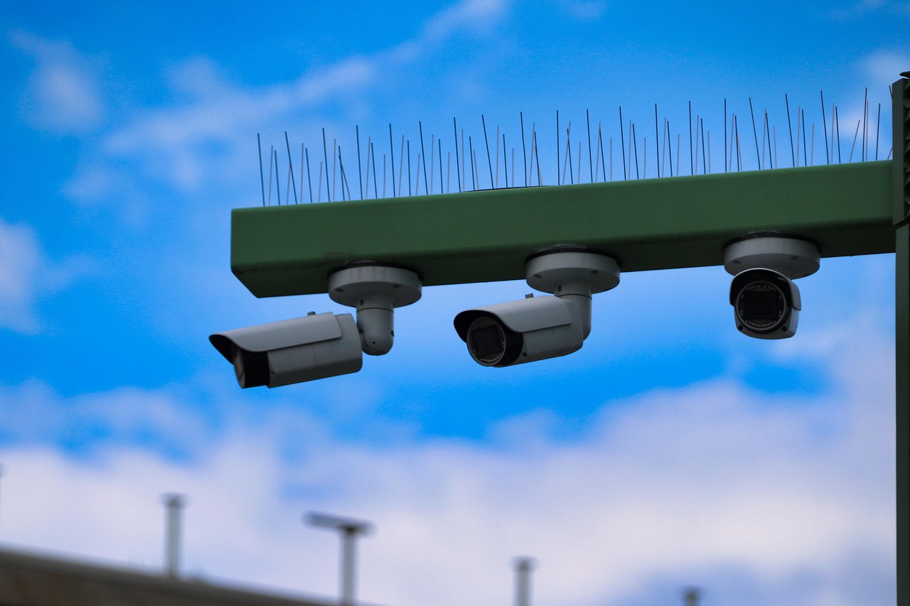 京东云实名账号：ntfs购买平台