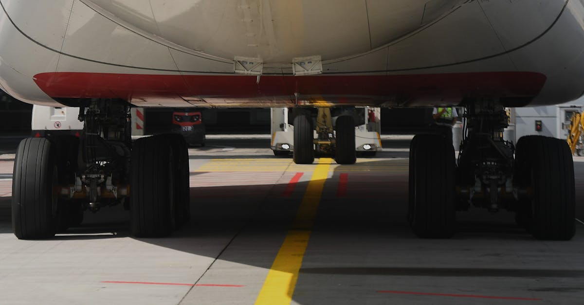 缅甸忠告图七星蓝莓：详情下载教程APP登录机器